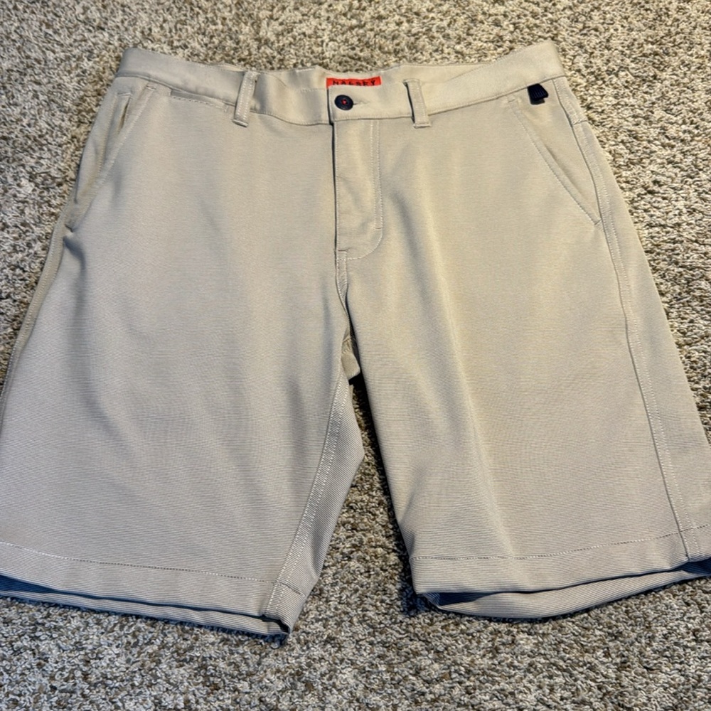 Halsey Sport Stripe Breakwater Shorts- 9” Inseam- Men’s 32